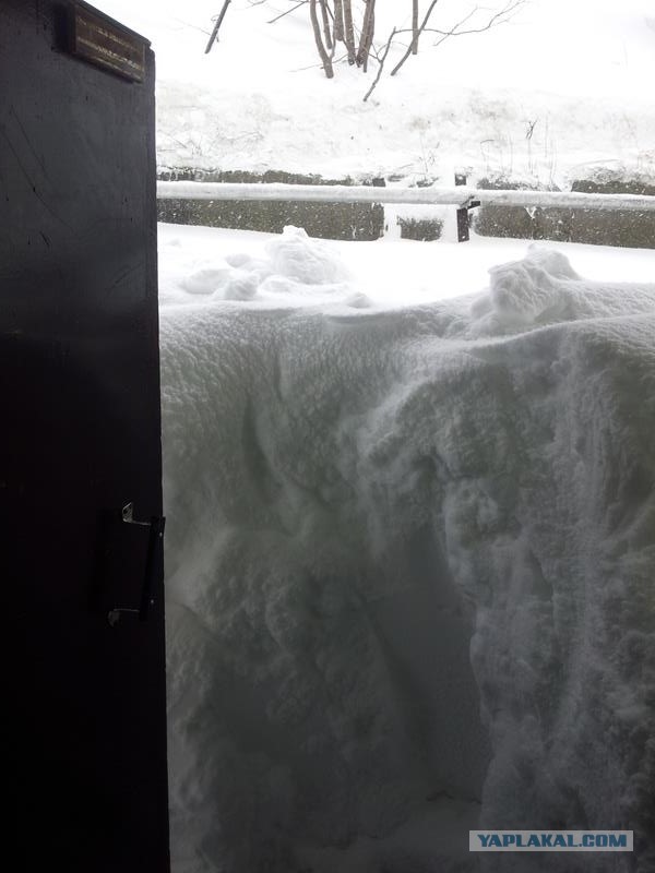 Вот почему на Камчатке необходимо ставить машину в гараж