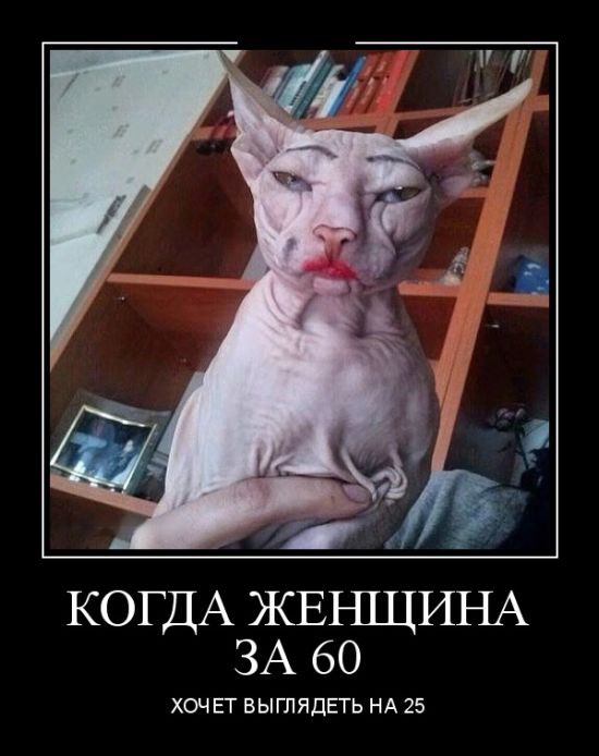 Картинки из сети (07.04.16)