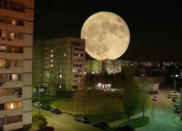 Интересные и веселые картинки