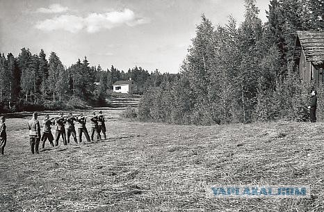 Расстрелы