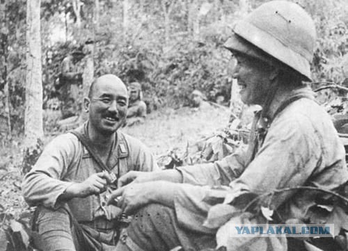 Интересные случаи Второй Мировой войны