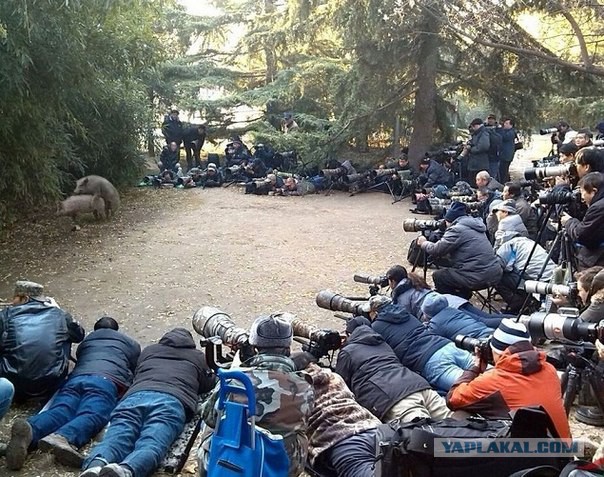 Смешные комментарии 22.05.2016