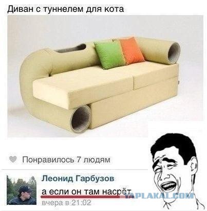 Ужасы и приколы из соцсетей 18+