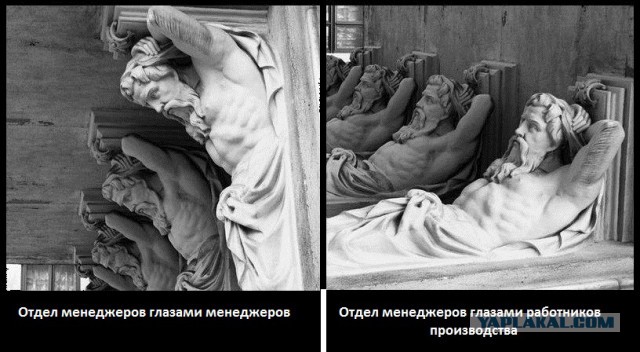 Каста неприкосновенных айтишников