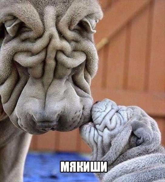 Винегрет фоток на пятницу...