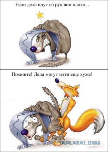 Пятиствольная мышелоffка.