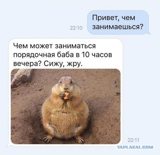 Смешные картинки из сети на 21.10.16