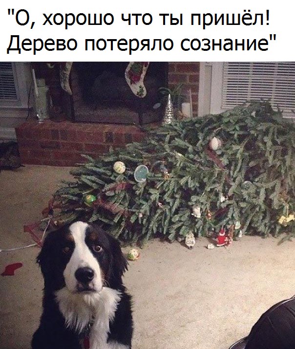 Всячина. Картинки и тексты картинками.