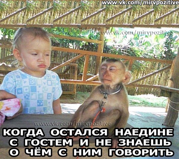 Подборка интересных и веселых картинок