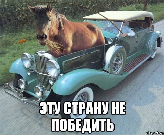 Подборка безудержного веселья