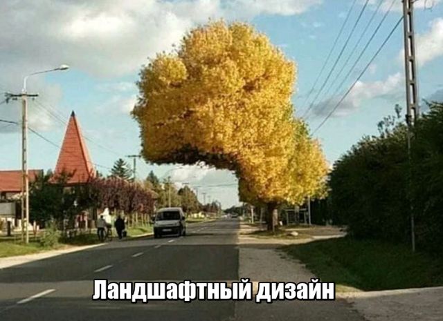Подборка интересных и веселых картинок