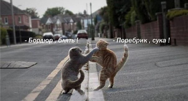 Языковые различия двух соседних городов