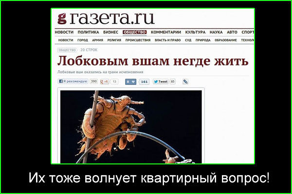 Не с тем связался