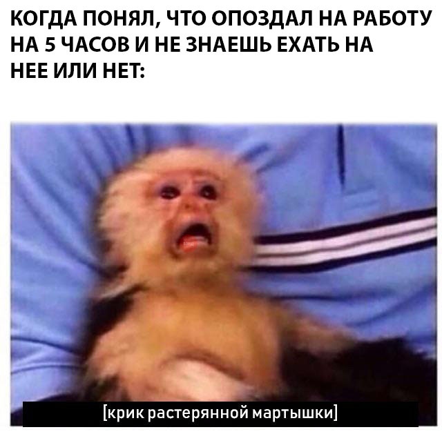 Немного смешных картинок из соцсетей на сегодня