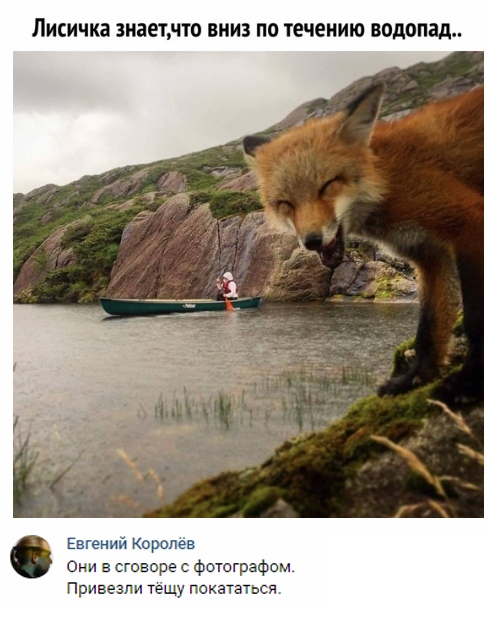 Немного картинок на вечер