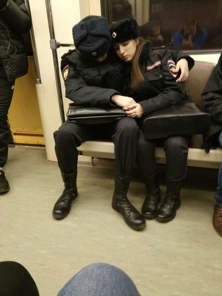 Подборка интересных и веселых картинок 29.01.19