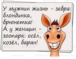 44 умные мысли