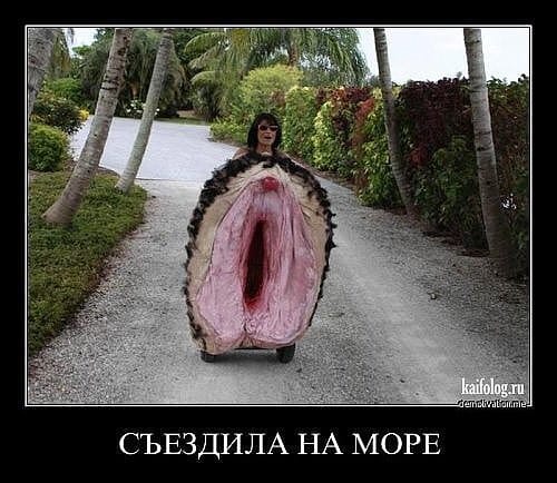 Подборка интересных и веселых картинок 22.07.19