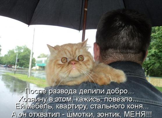 Подборка фото 15.02.20
