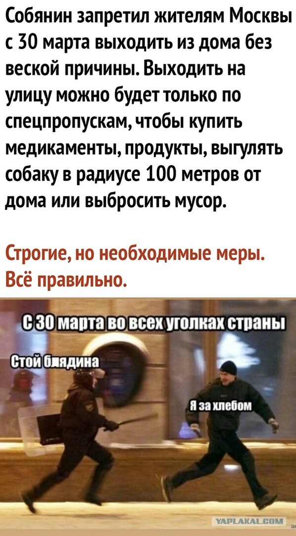 Чуток картинок. Ночные 6