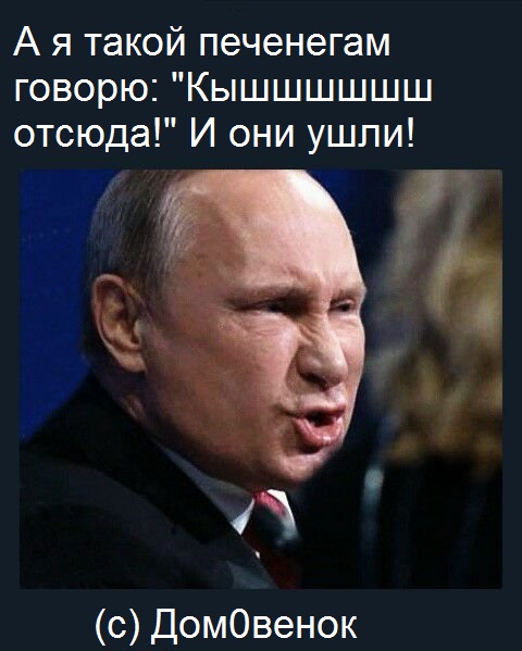 Дошутились? Кого тут "печенеги" смешат?!
