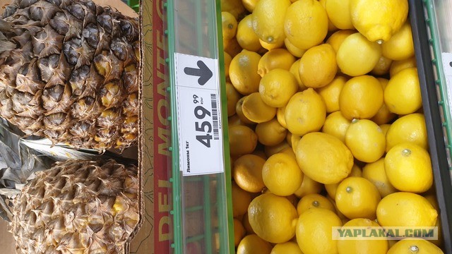 Мишустина попросили запретить в магазинах акции и скидки на продукты