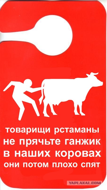 Фотожаба: Не беспокоить...