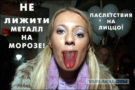 Фотожаба: Ксюша Собчак