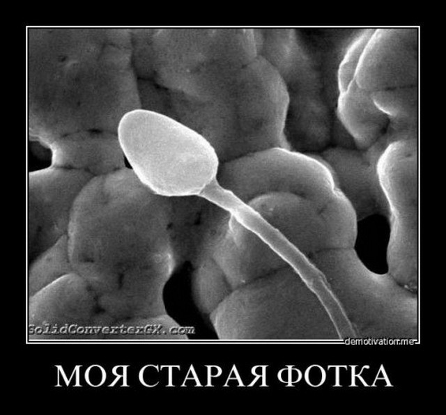Самое раннее что вы помните?