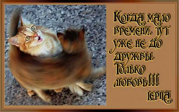 Очень пошлые картинки про это.18+
