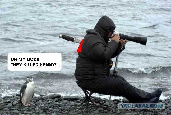 Внимательный фотограф