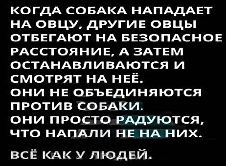 Картинки с надписями фразы  и анекдоты 16.11.20