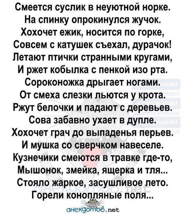 Прикольные и просто красивые картинки 19.11.2020
