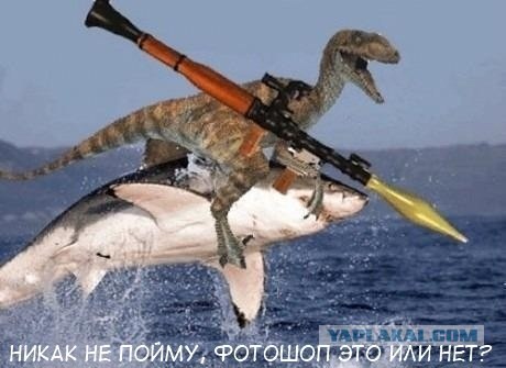Бюджетный отдых