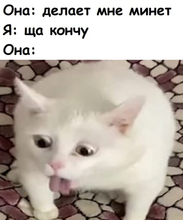 Боянистые и не очень картиночки с тупым йумором