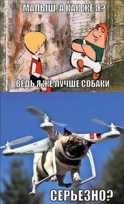 15192950.jpg