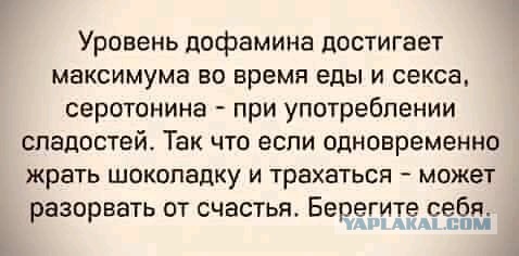Бредзона 08.02.2021