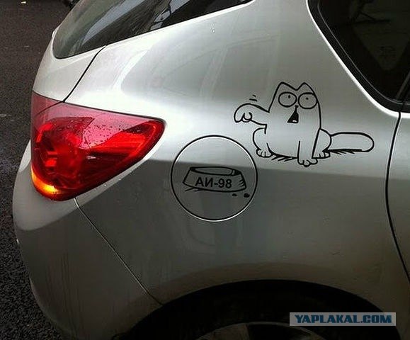 Simon's Cat in 'Fetch'