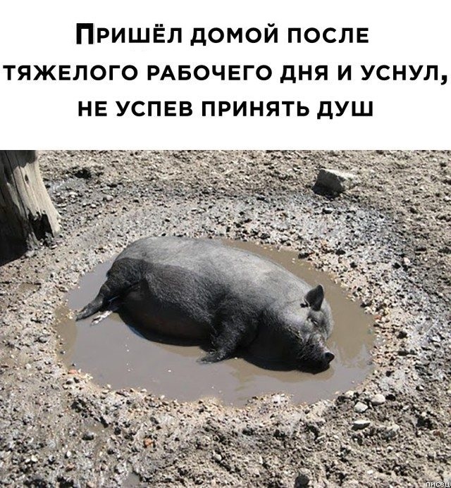 Картинки с надписями и всякие жизненные фразы
