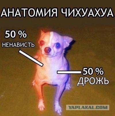Концентрированная ярость!