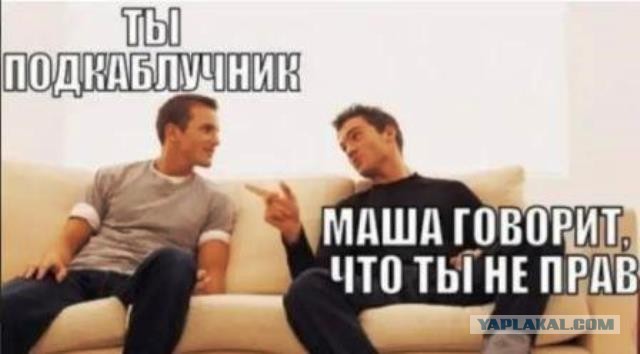 35 картинок разных 16.07.2021