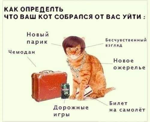 Так себе картинки 24.08.21