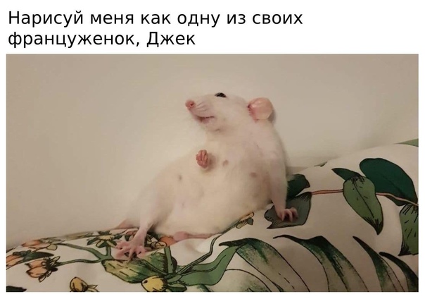 Так себе картинки 14.09.21