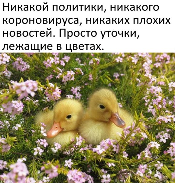 Картинки и мемы для настроения 26.10.2021