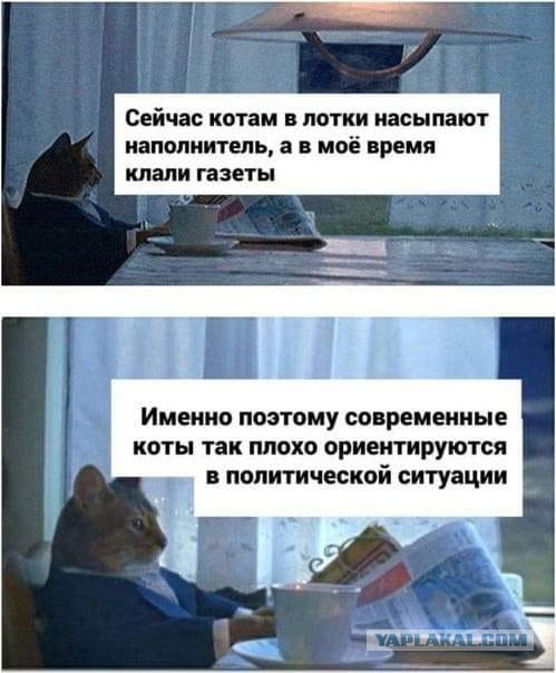 Чуток картинок 31.01.22