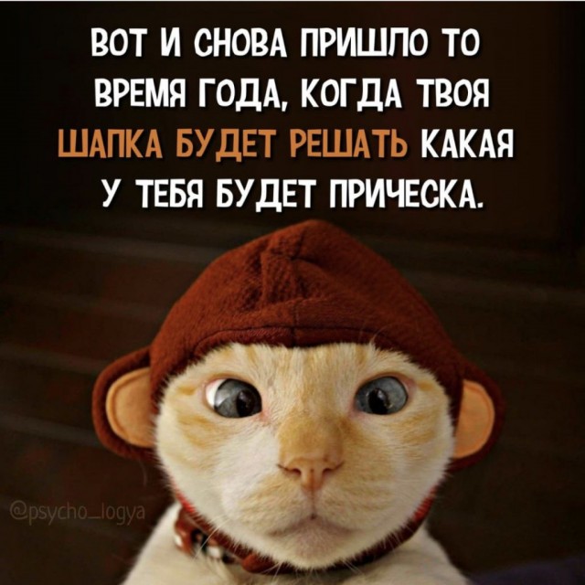 Картинки и мемы, всем прекрасных выходных