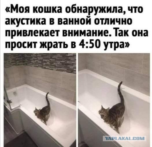 Чуток картинок 20.02.22