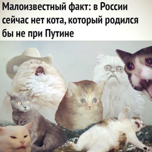 Так себе картинки 19.04.22