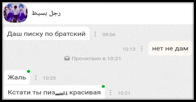 Южане в поисках любви
