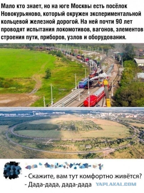 Скриншоты и комментарии из социальных сетей 20.07.22